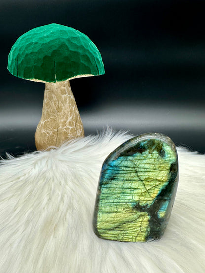 Labradorit Freiform - XIV