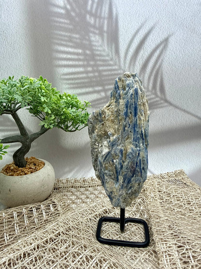 Blauer Kyanit auf Ständer II