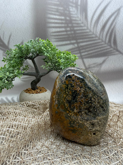 Ocean Jaspis Freiform