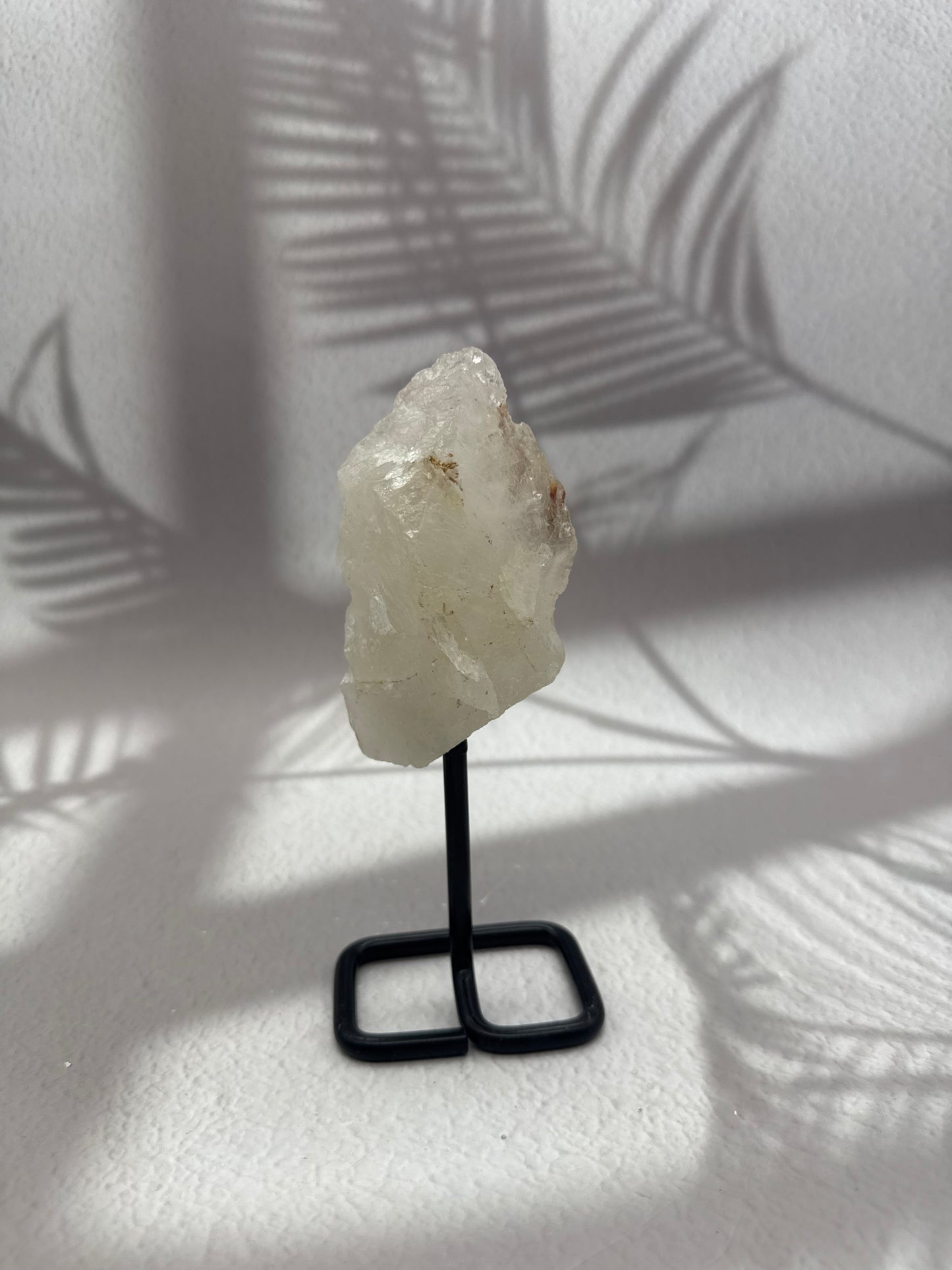 Krokodilquarz auf Ständer V