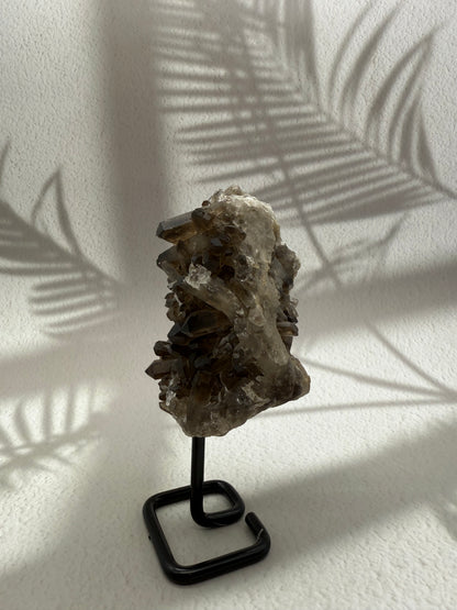 Rauchquarz auf Ständer II
