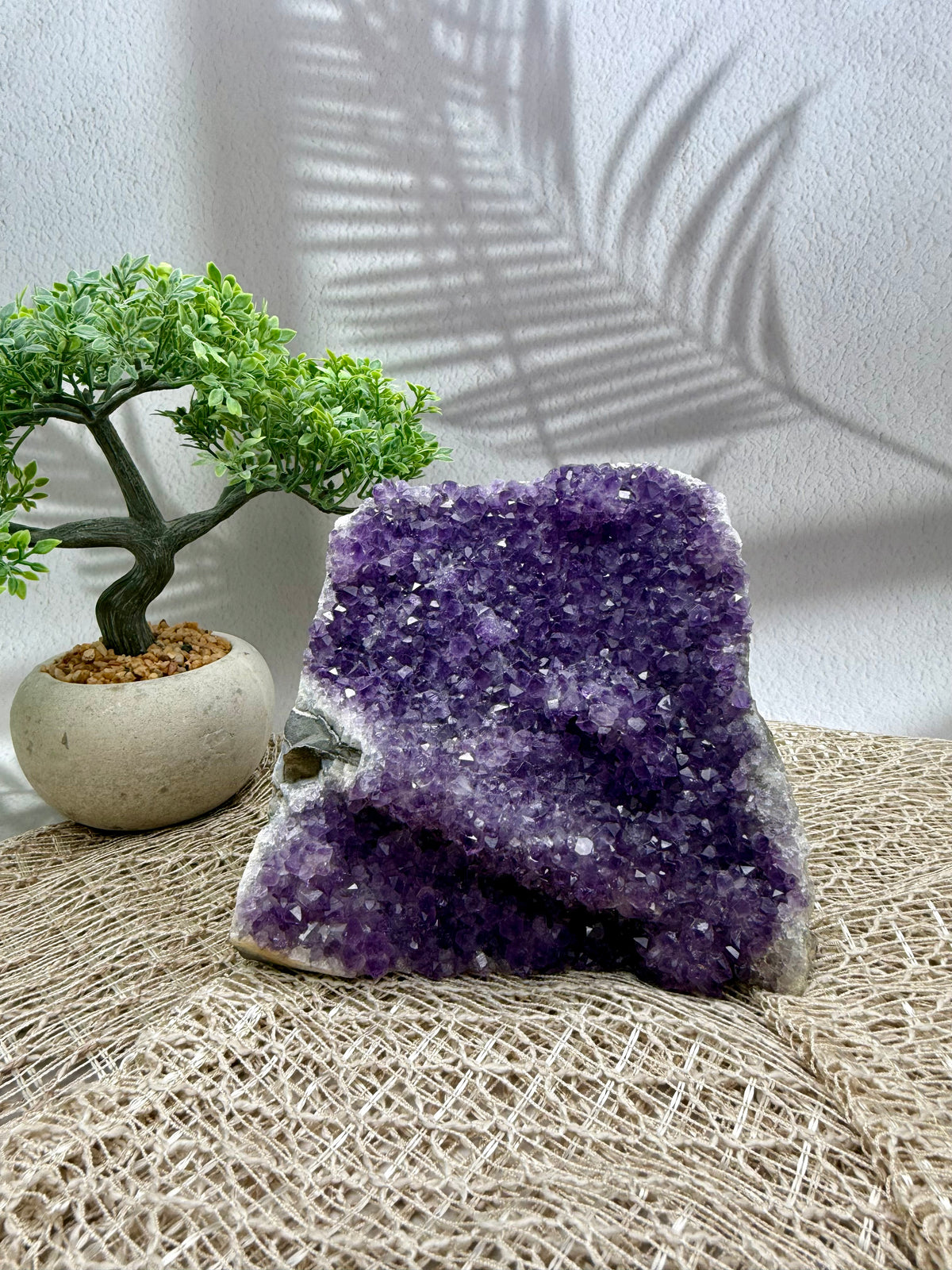 Amethyst Druse lila - groß I