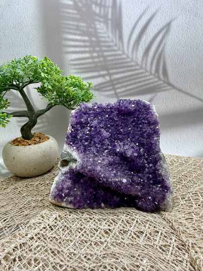 Amethyst Druse lila - groß I