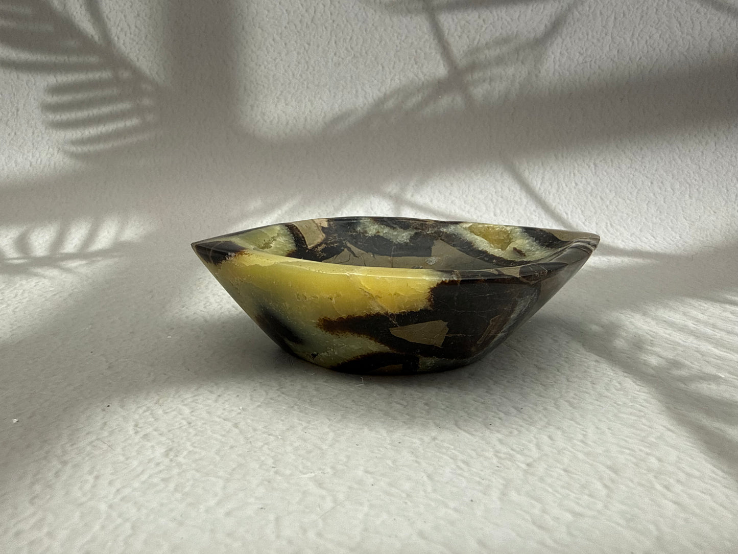 Septarie Schale mit Druse