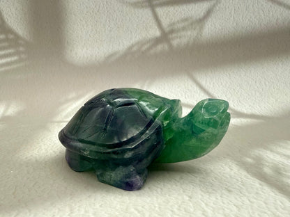 Fluorit Schildkröte