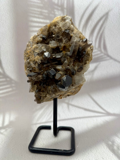 Rauchquarz auf Ständer 3