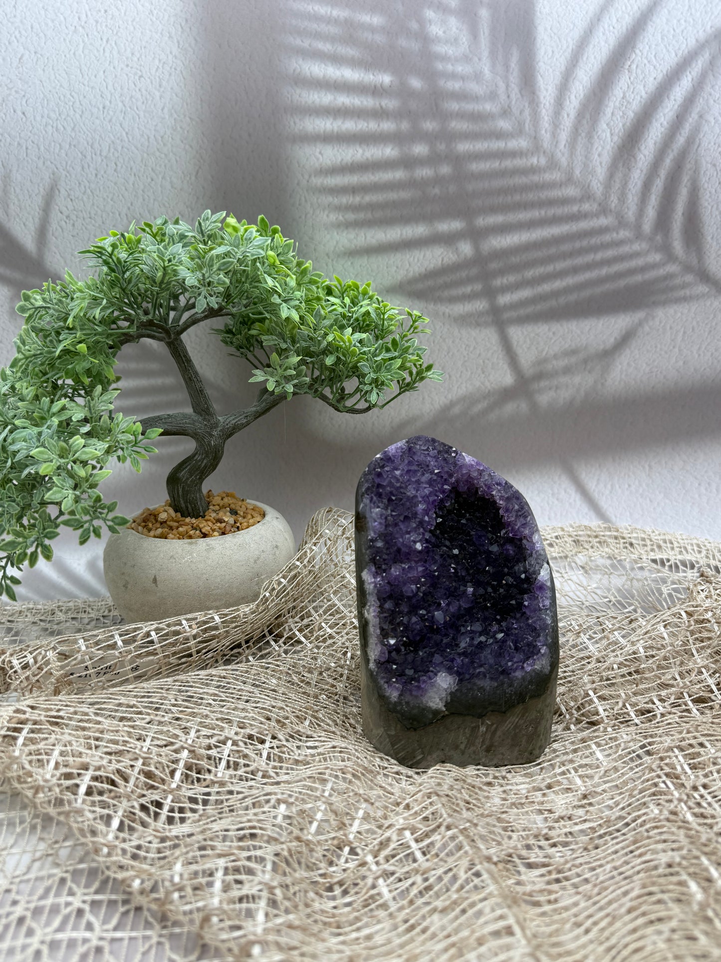 Amethyst Druse - VIII