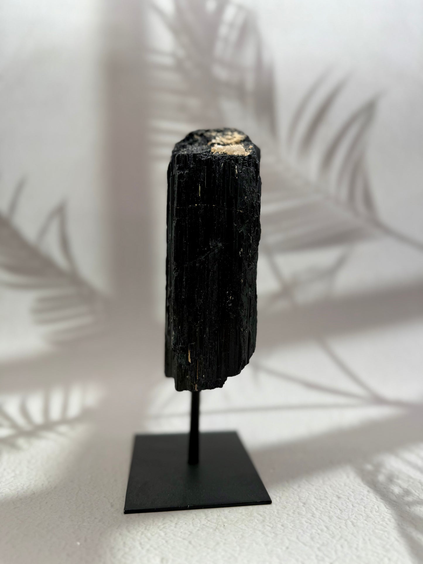 Schwarzer Turmalin roh auf Ständer