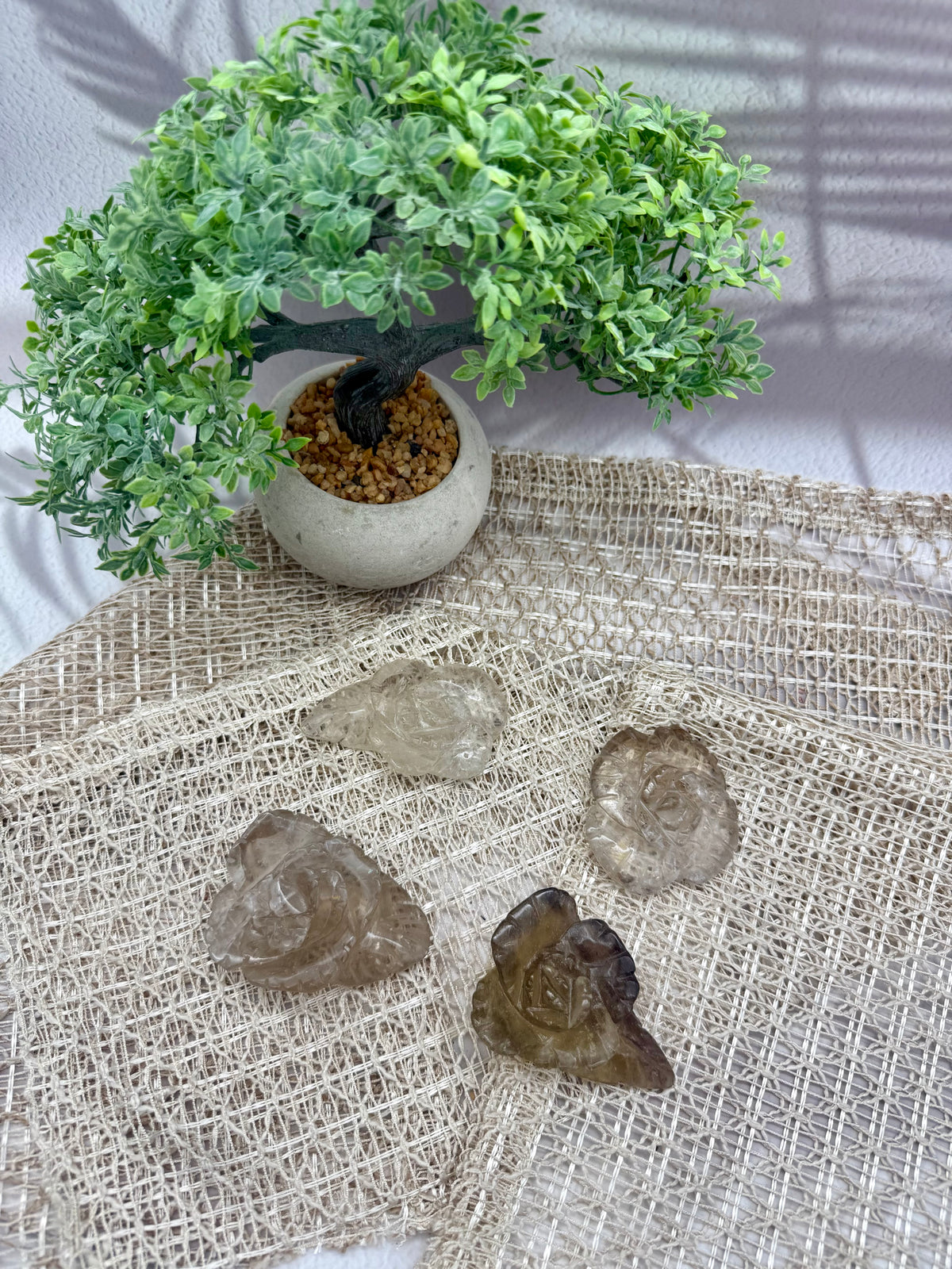 Rauchquarz Rosen 1-4