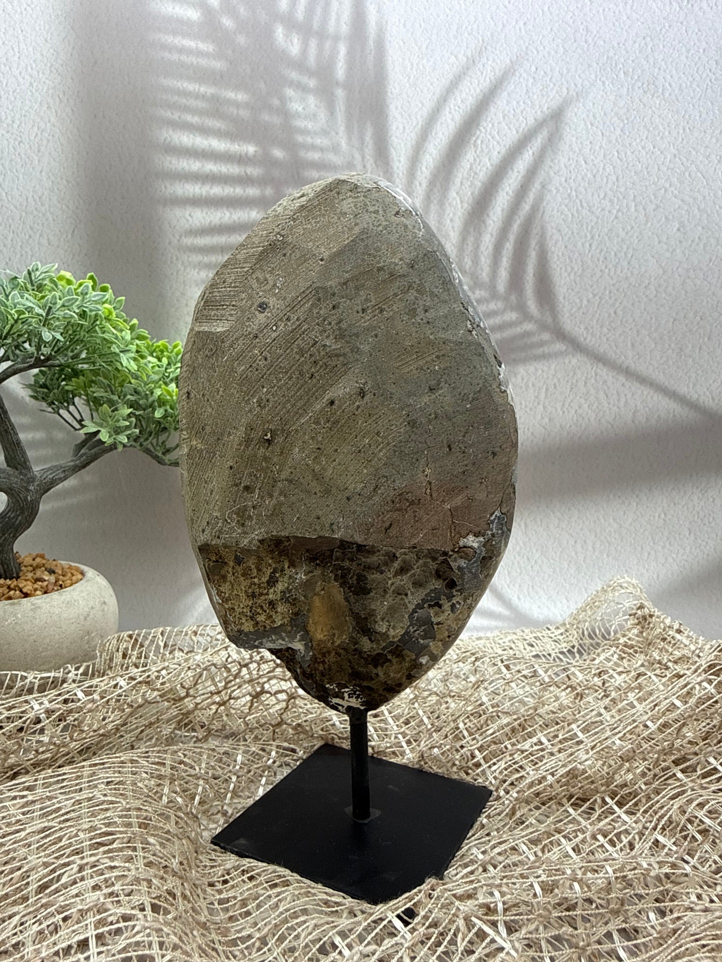 Sibirischer Amethyst auf Ständer - 3