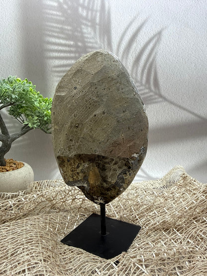 Sibirischer Amethyst auf Ständer - 3