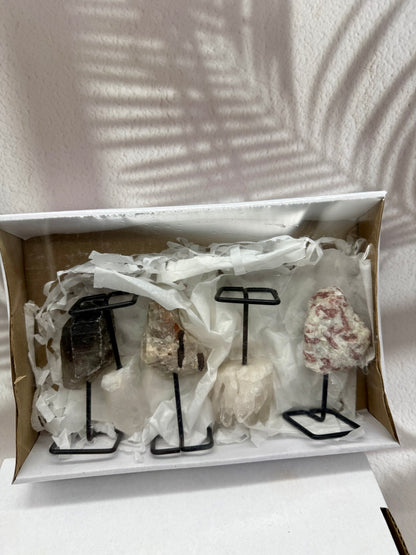 Mineralien-Set 12.