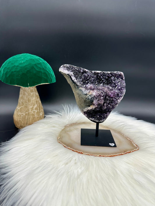 Amethyst Druse I