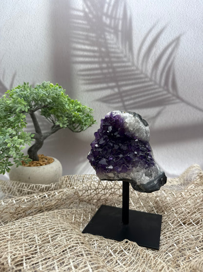Sibirischer Amethyst auf Ständer - 5