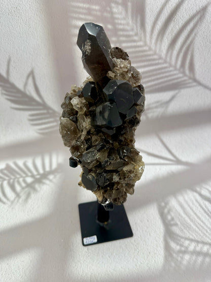 Rauchquarz auf Ständer 6