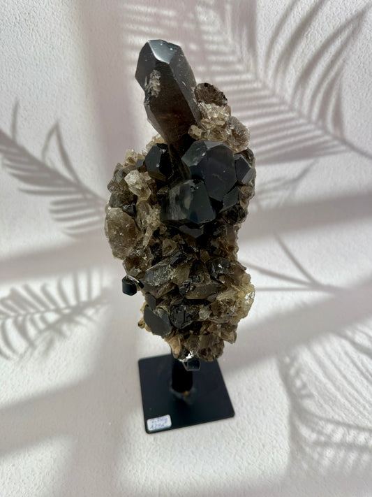 Rauchquarz auf Ständer 6