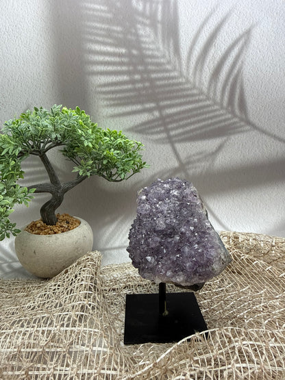 Amethyst auf Ständer - 1
