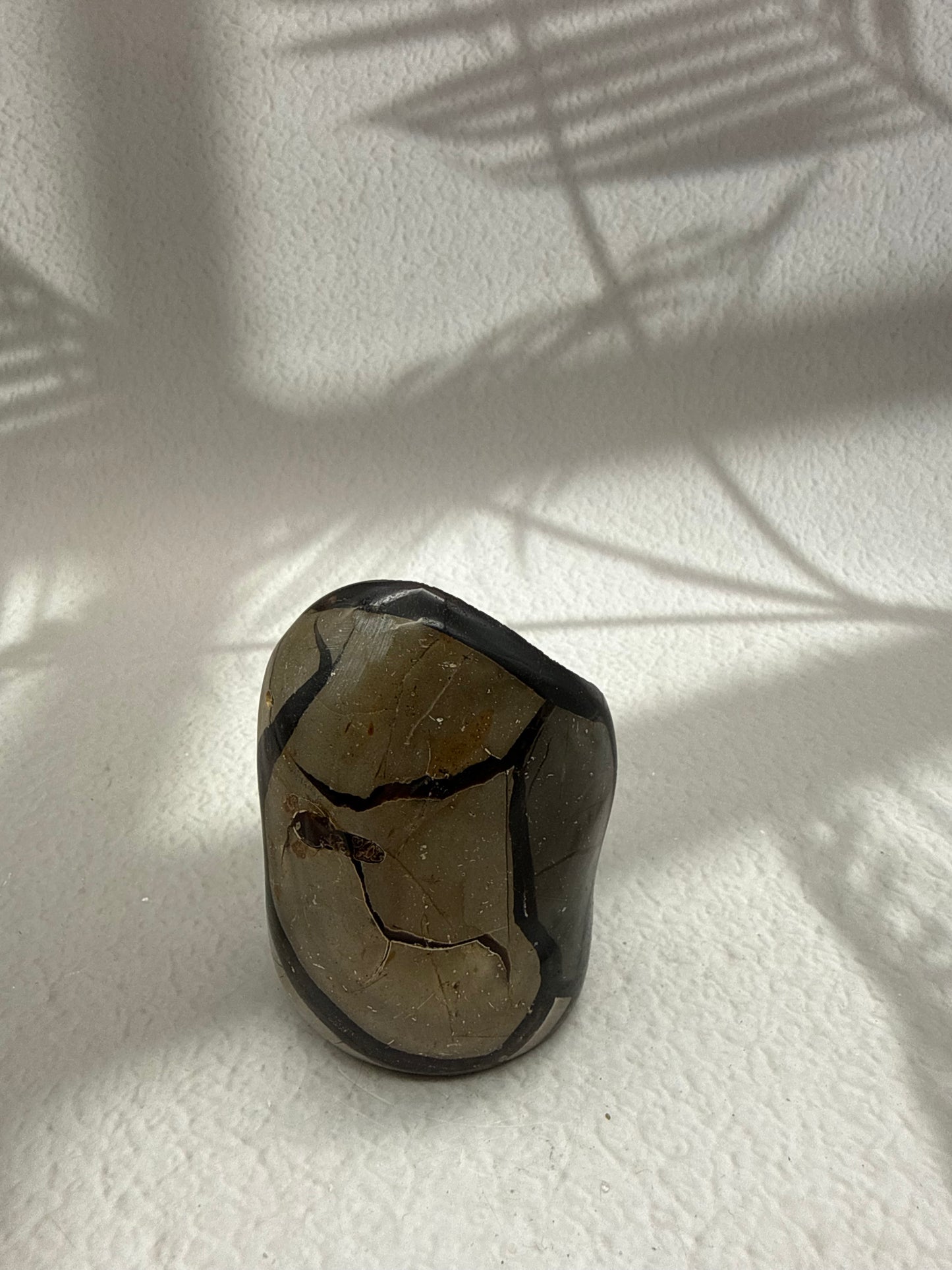Septarie Druse mit Calcit IV