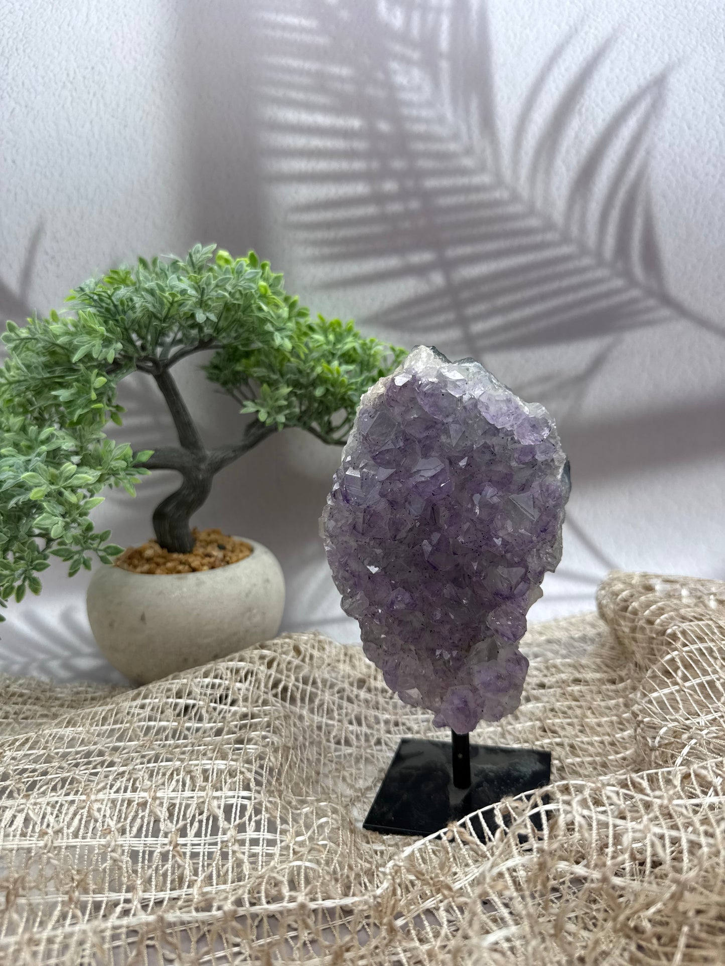 Amethyst auf Ständer - 5