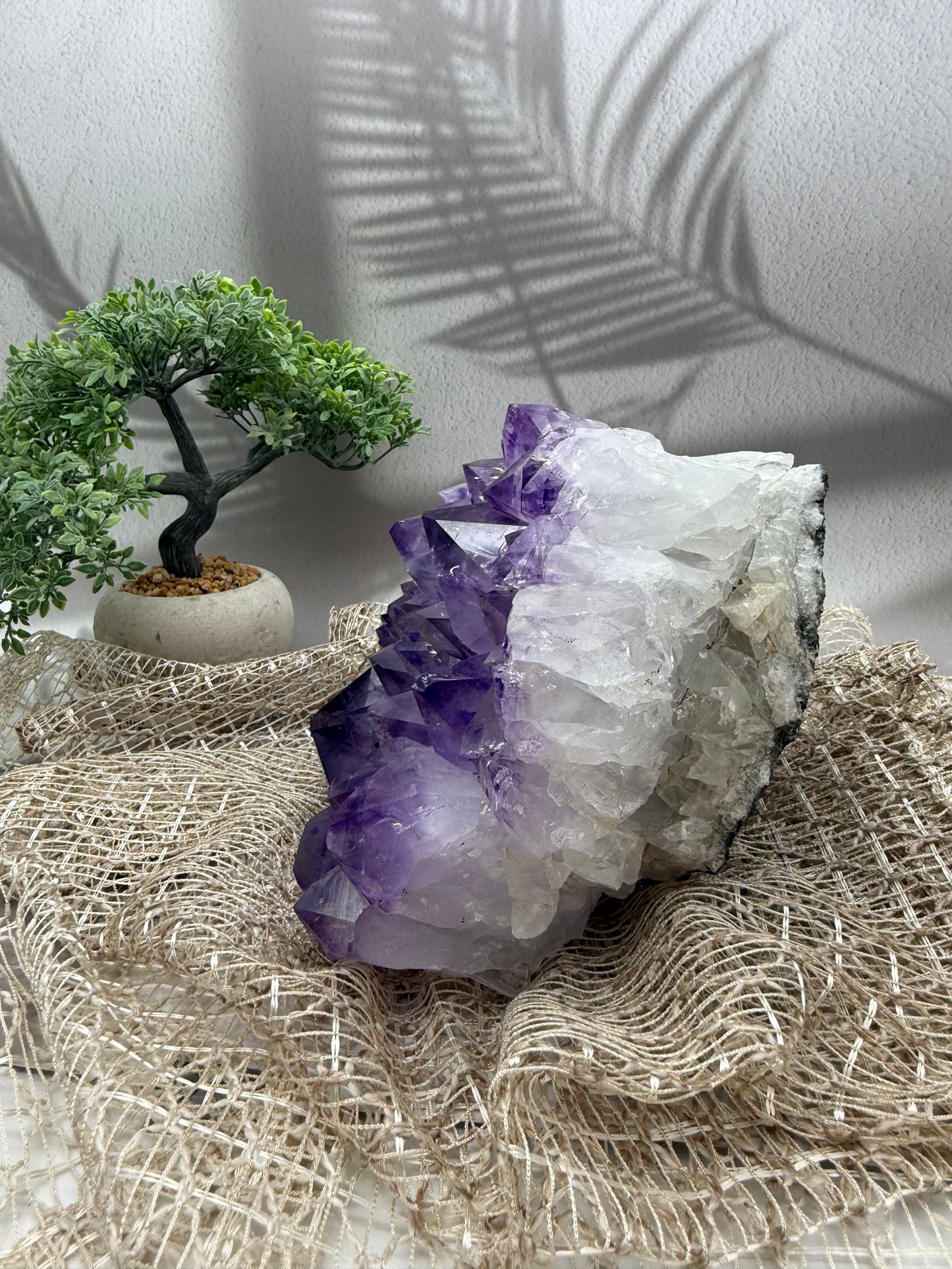 Amethyst Cluster - 5,3 kg - Ladecluster