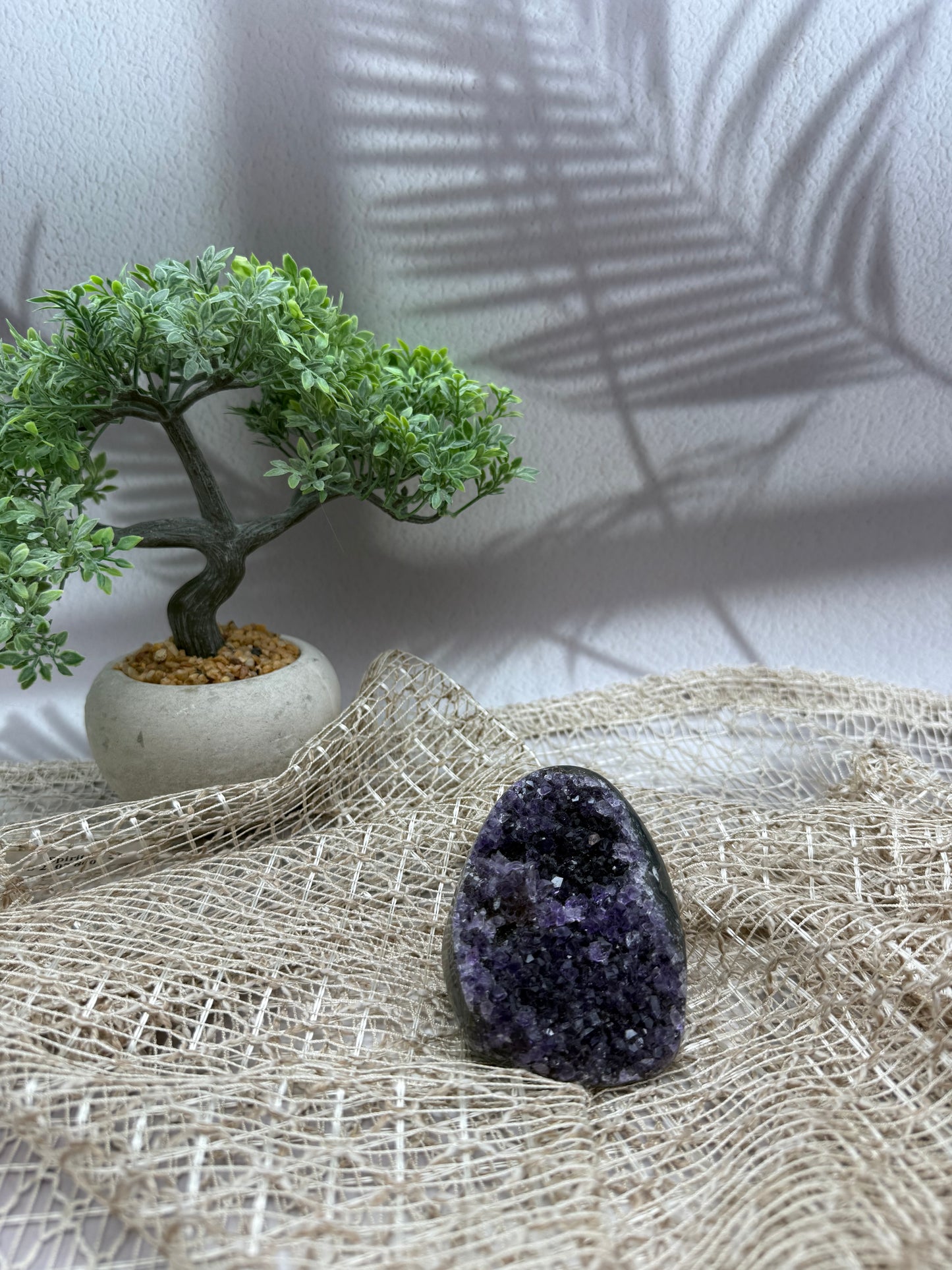Amethyst Druse - II