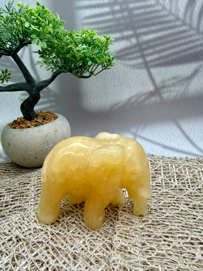 Orangencalcit Elefant - I