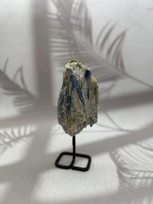 Blauer/Schwarzer Kyanit auf Ständer X