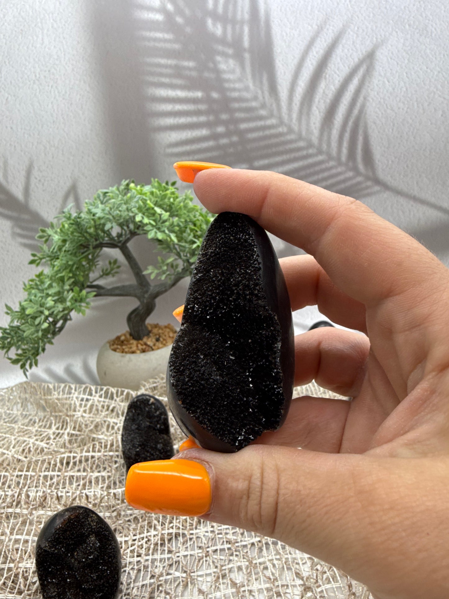 Septarie Mini Drusen