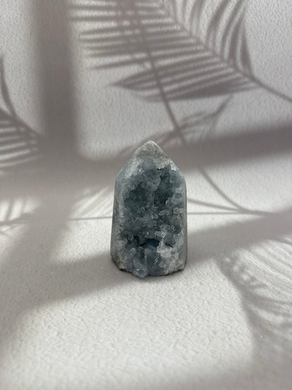 Coelestin Turm Groß