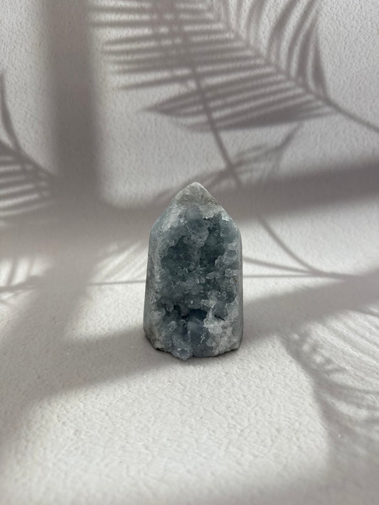 Coelestin Turm Groß