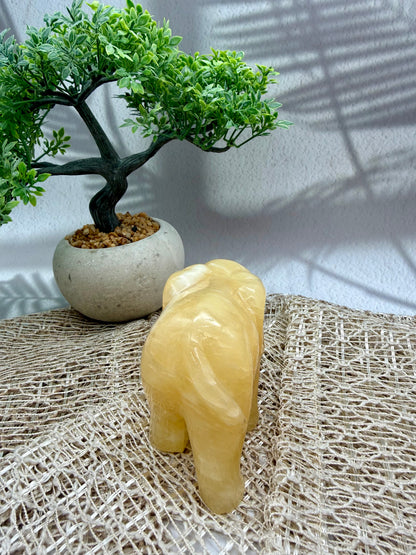 Orangencalcit Elefant - I