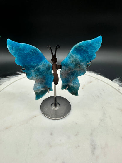 Apatit Schmetterling