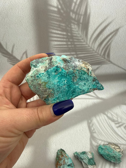 Chrysokoll Rohstücke Rarität