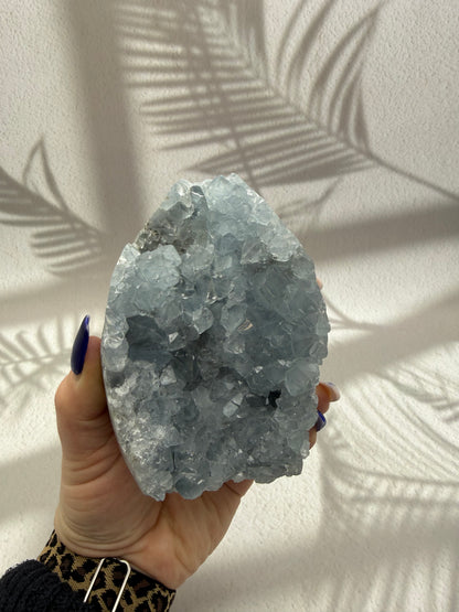 Coelestin Freiform II