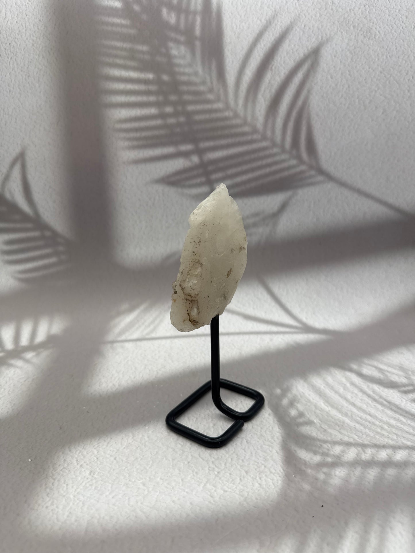Krokodilquarz auf Ständer II