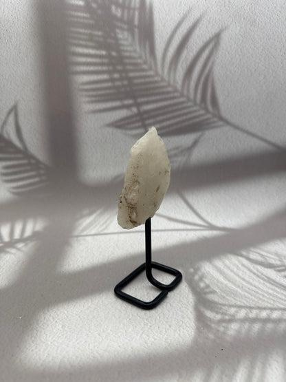 Krokodilquarz auf Ständer II