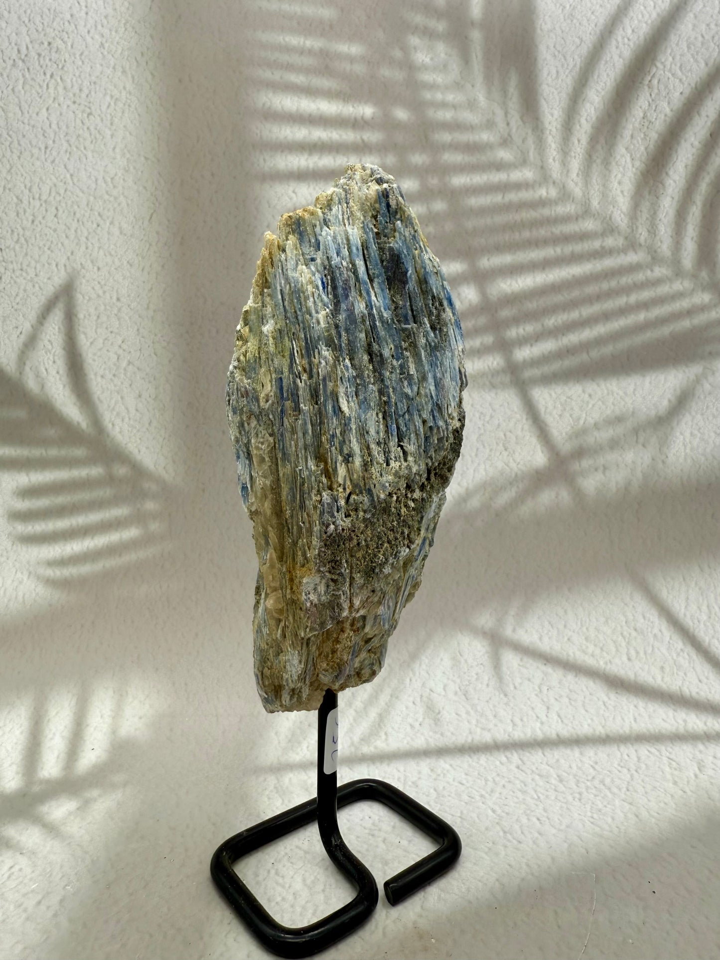 Blauer Kyanit auf Ständer