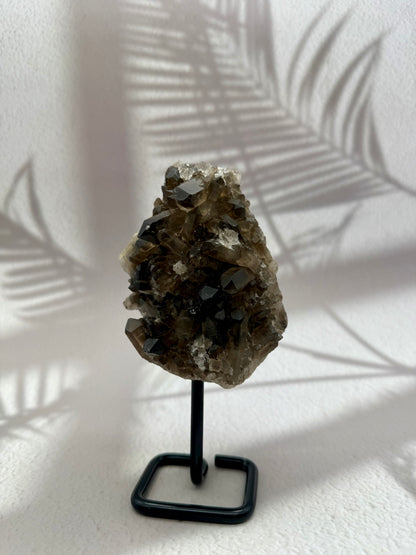 Rauchquarz auf Ständer II