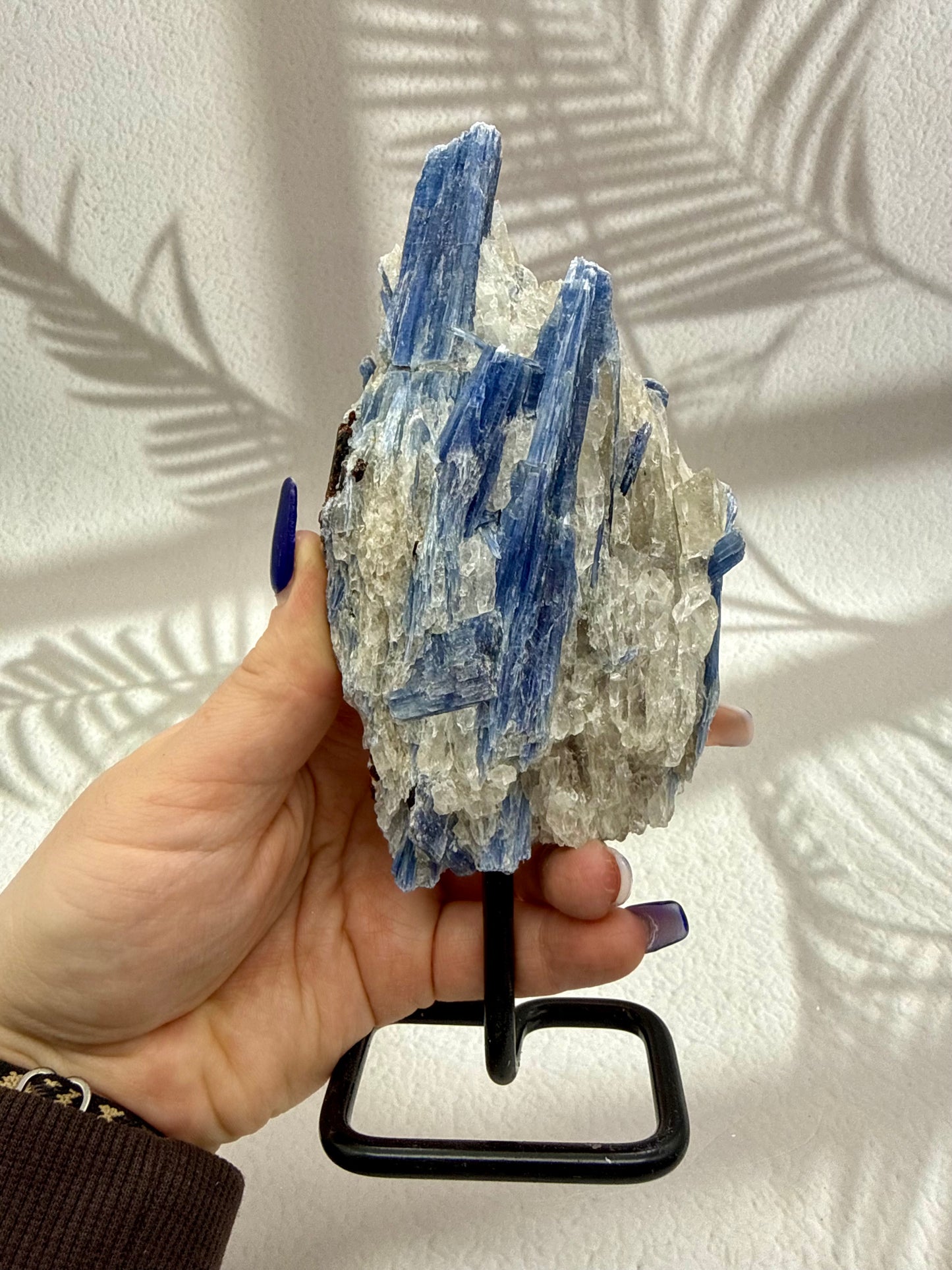 Blauer Kyanit VI | B-Ware