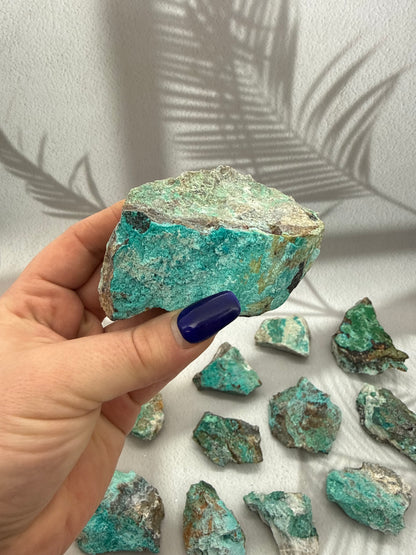 Chrysokoll Rohstücke Rarität