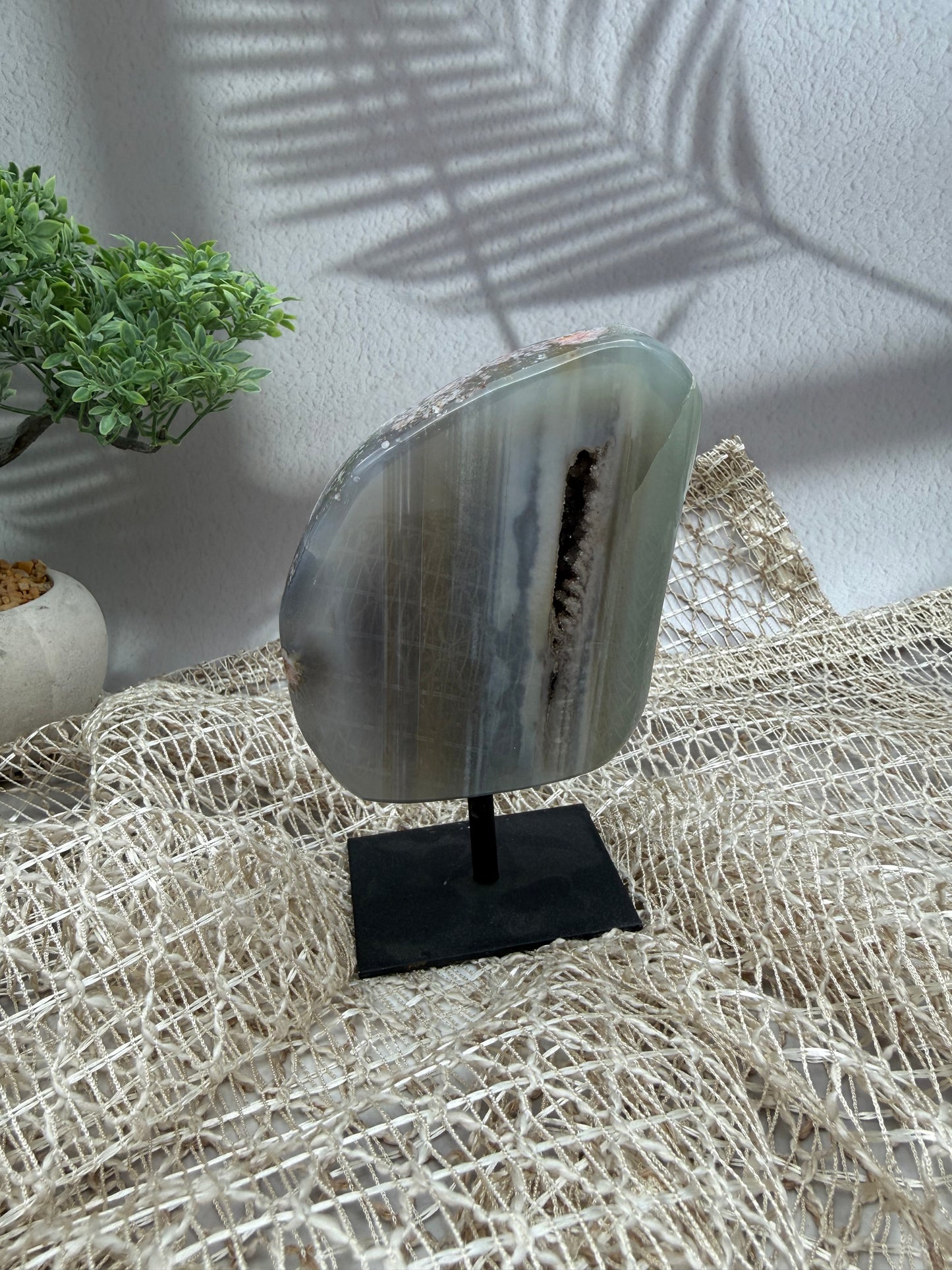 Achat auf Ständer - II