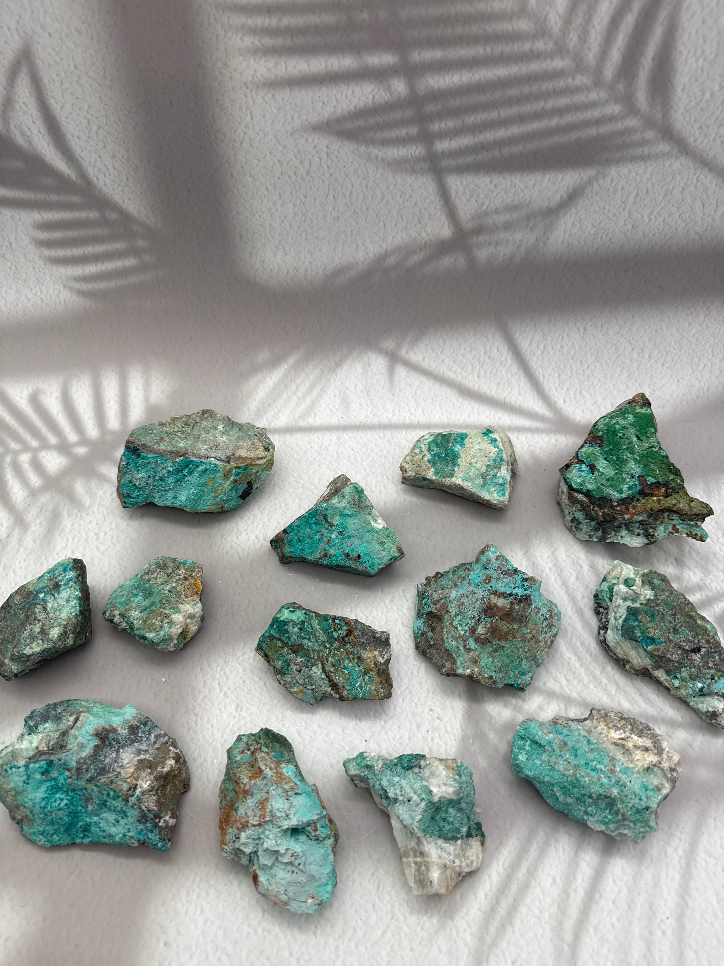 Chrysokoll Rohstücke Rarität