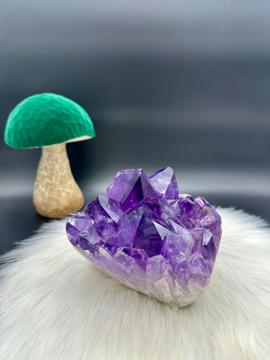 Amethyst Cluster Stück I - groß