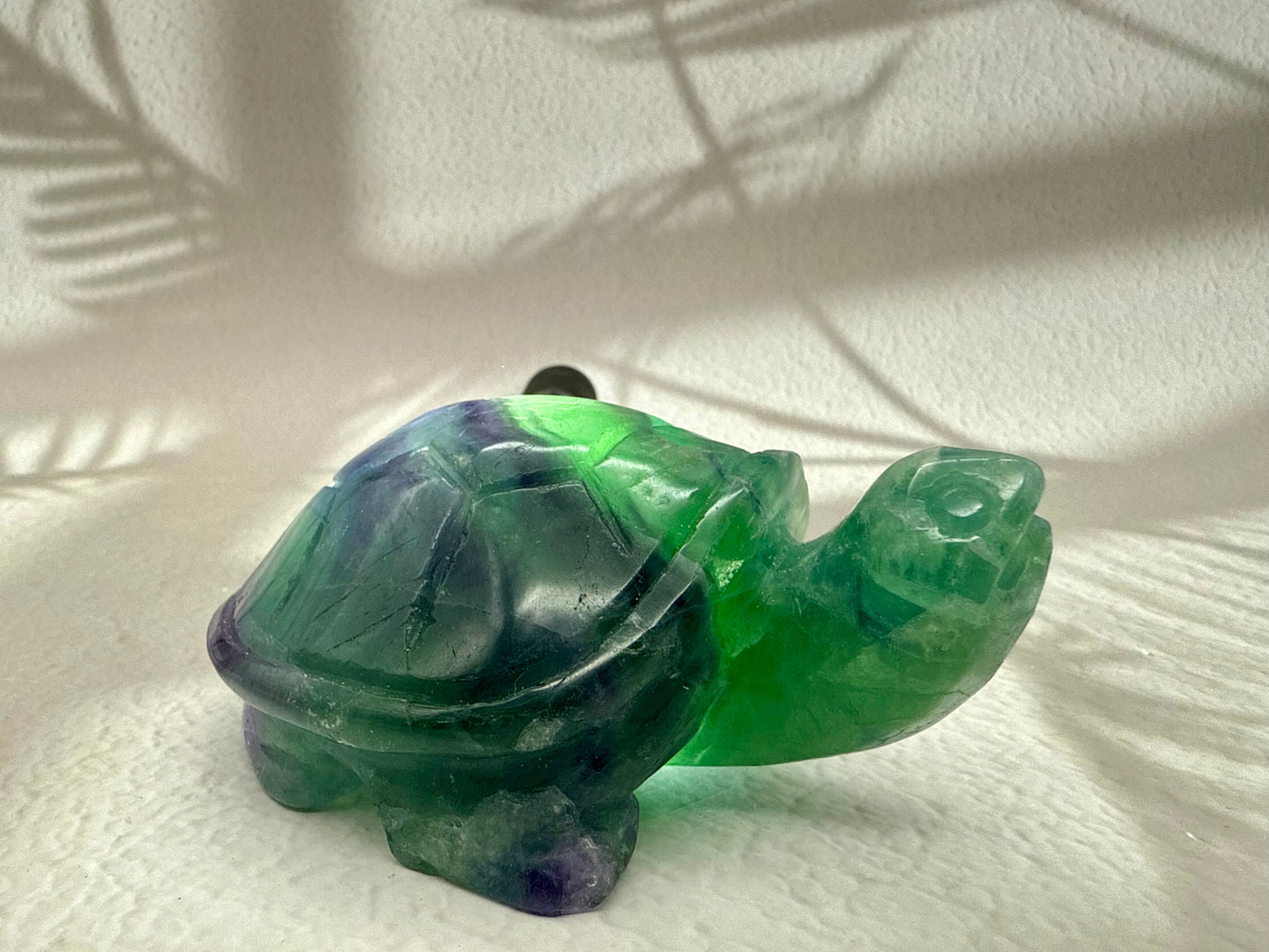 Fluorit Schildkröte