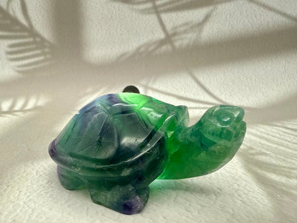 Fluorit Schildkröte