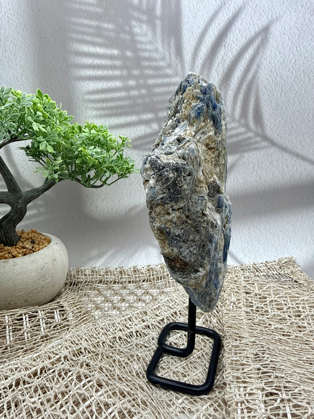 Blauer Kyanit auf Ständer II