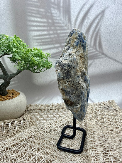 Blauer Kyanit auf Ständer II