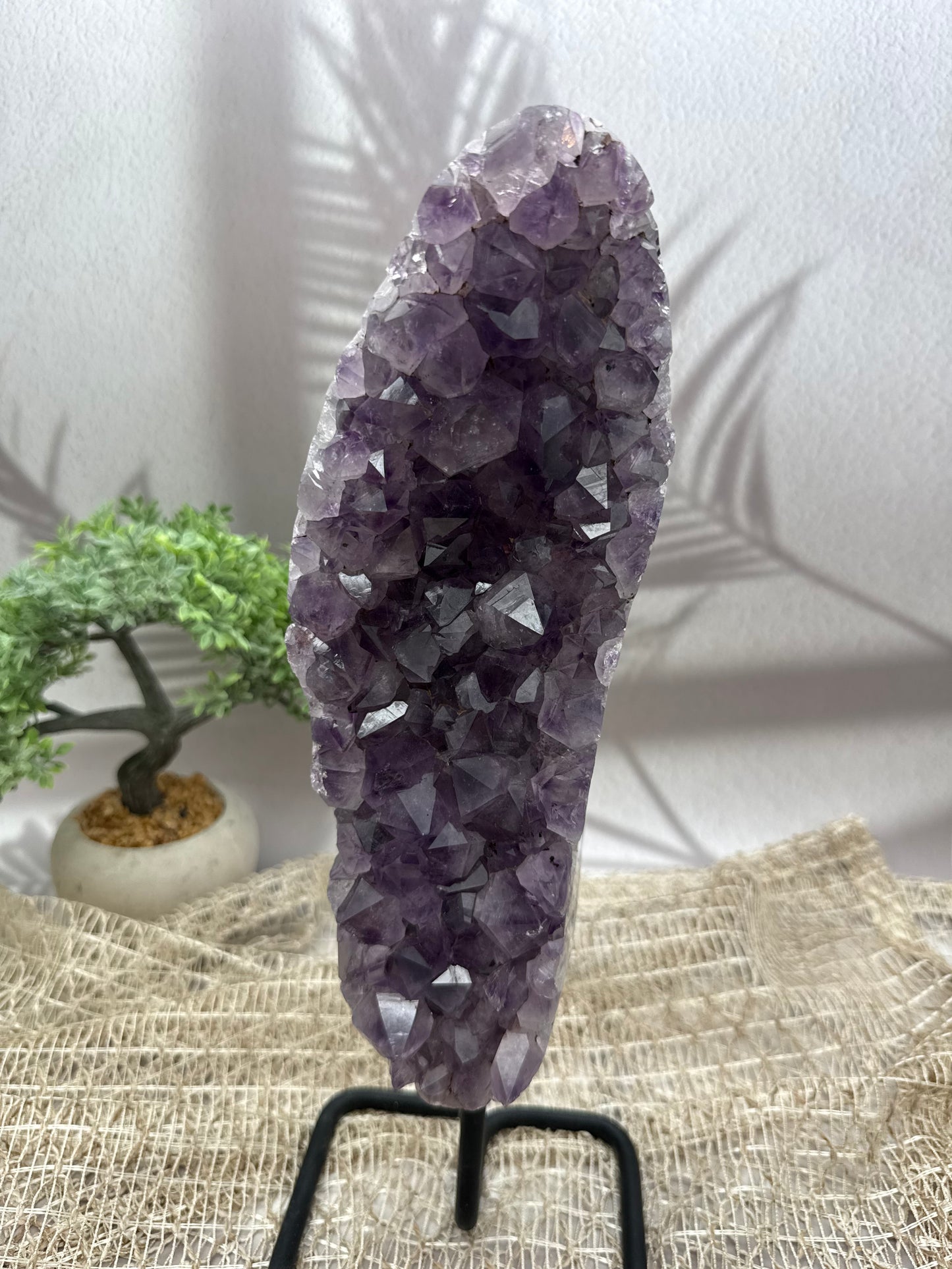 Amethyst auf Ständer - I - 3,1kg