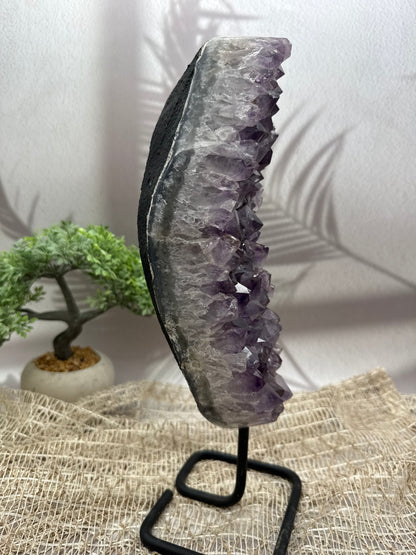 Amethyst auf Ständer - I - 3,1kg