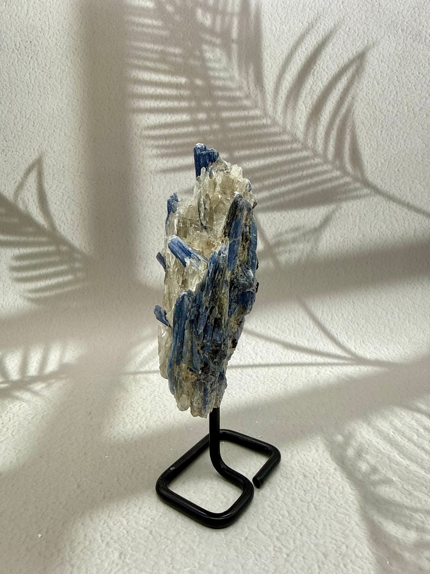 Blauer Kyanit VI | B-Ware